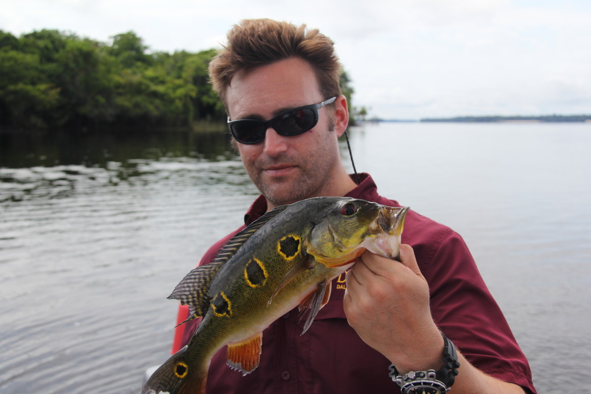 Butterfly peacock bass online