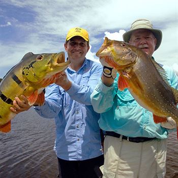 New species of giant fish discovered in Brazil