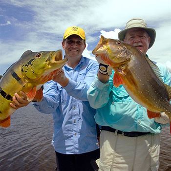 New species of giant  fish discovered in Brazil