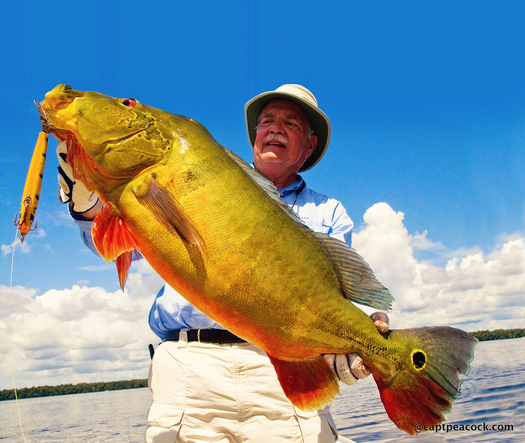 Peacock Bass Fishing - Captain Peacock Yachts and Expeditions