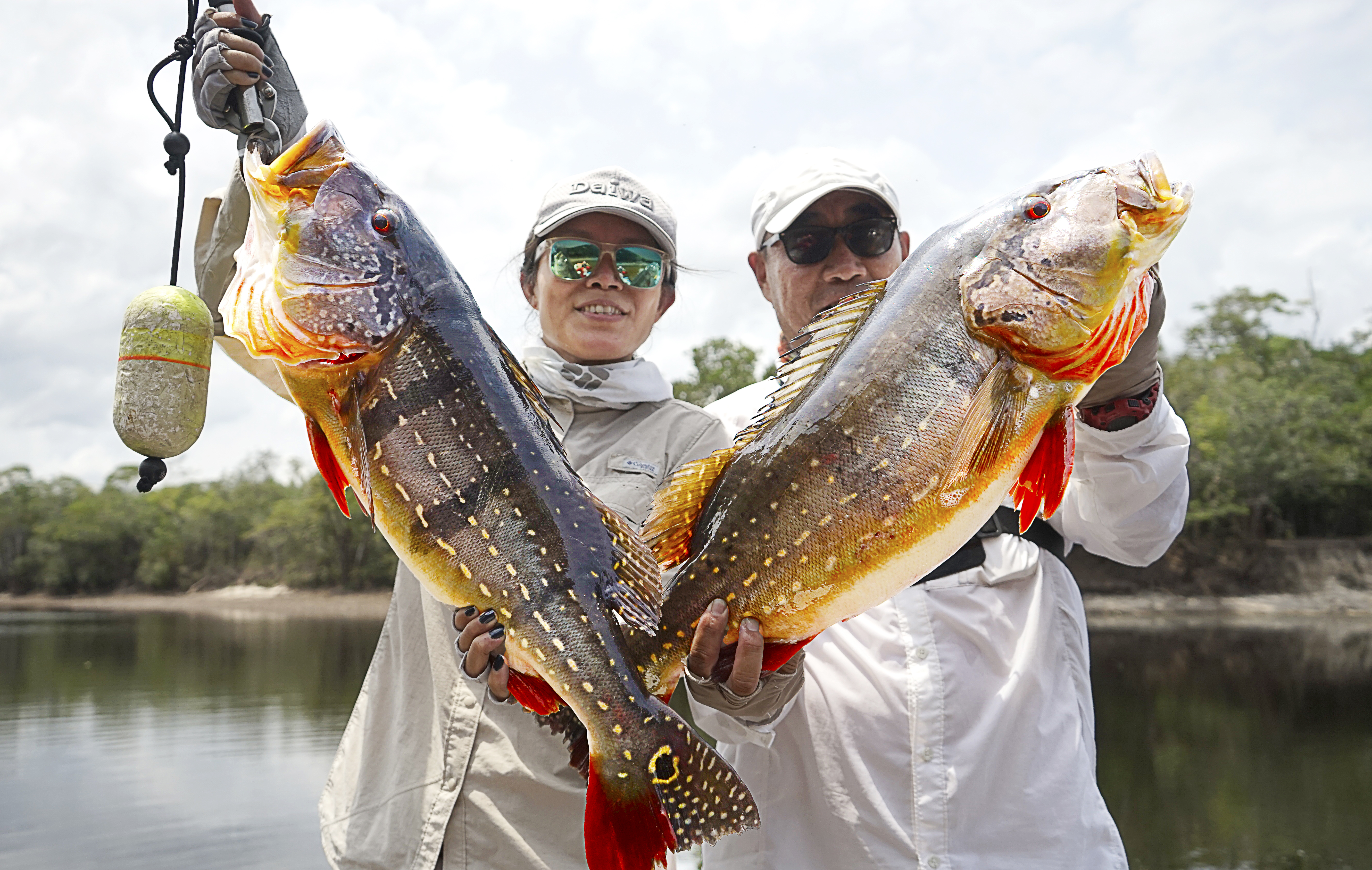 Iquitos Fishing Tours  Peacock Bass Fishing Charter & Excursions