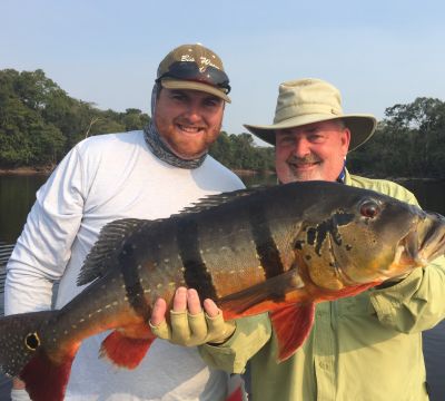 Amazon Peacock Bass Fishing