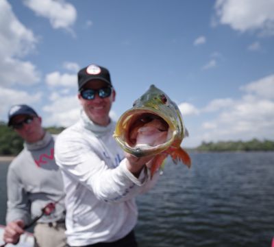 Amazon Peacock Bass Fishing