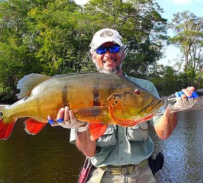 Amazon Peacock Bass Fishing