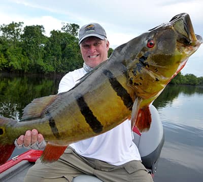 Amazon Peacock bass Fishing