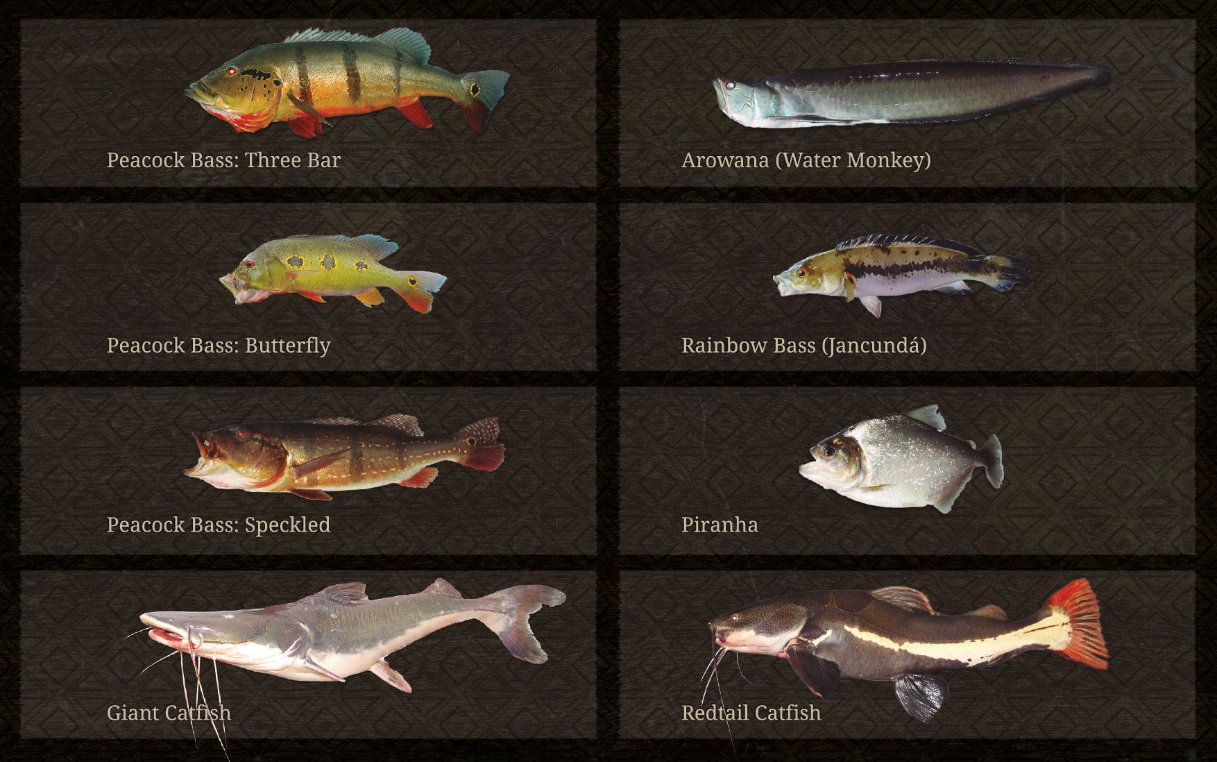 Piranha Species Chart