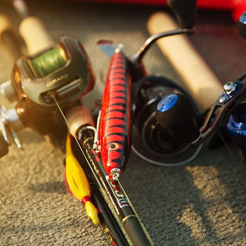 Fishing Tackle and Equipment for peacock bass fishing