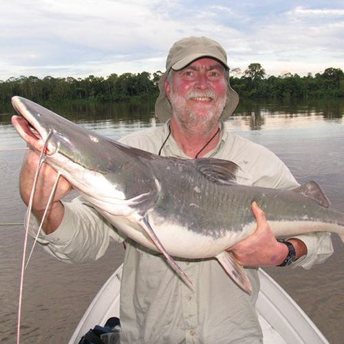 New species of giant  fish discovered in Brazil